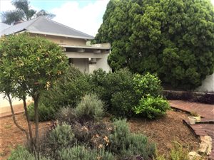 1 Bed Garden Cottage in Orange Grove