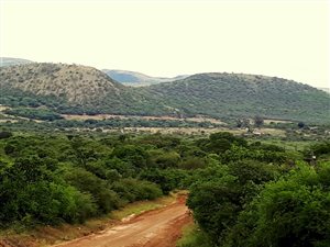 117.6 ha Farm in Pongola