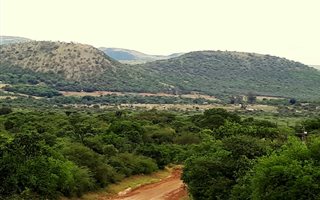 117.6 ha Farm in Pongola