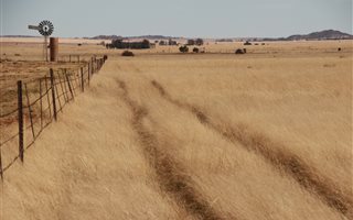 256 ha Farm in Bloemfontein