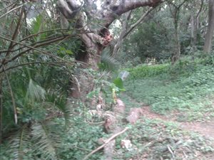 3004 m² Land available in Pumula