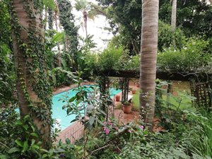 5 Bed House in Waterkloof Ridge