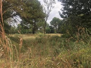 2000 m² Land available in Henley on Klip