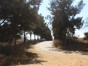 13.8 ha Land available in Vlakplaats