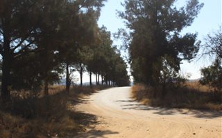 13.8 ha Land available in Laezonia