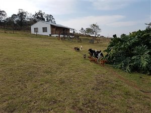 9.9 ha Farm in Lynnfield Park