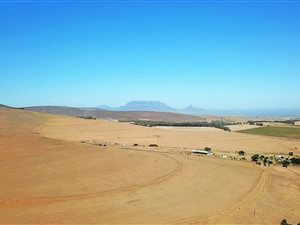 54 ha Farm in Durbanville Central