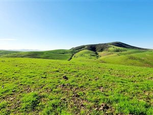54 ha Farm in Durbanville Central