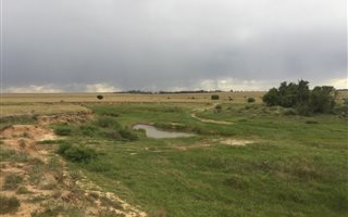 975 ha Land available in Winburg