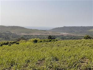 8 ha Farm in Ballito