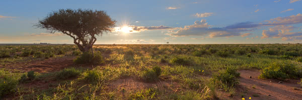 Kalahari and Green Kalahari